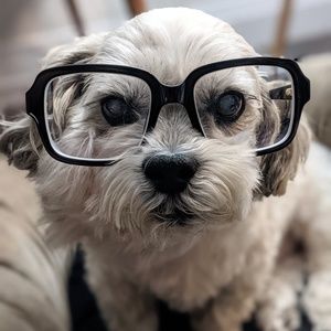 Meet your Posher, Gerry